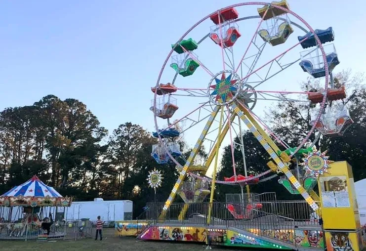 50ft. Gondola Ferris Wheel