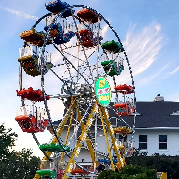 Gondola Ferris Wheel