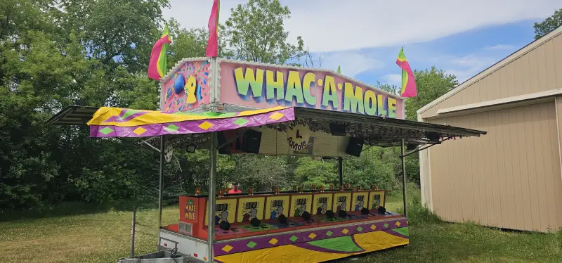 Whac-A-Mole® Challenge Game
